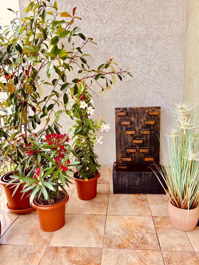 Sunny Deluxe Apt. & Terrace Budapest Exterior photo