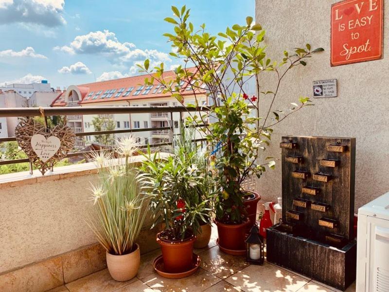 Sunny Deluxe Apt. & Terrace Budapest Exterior photo